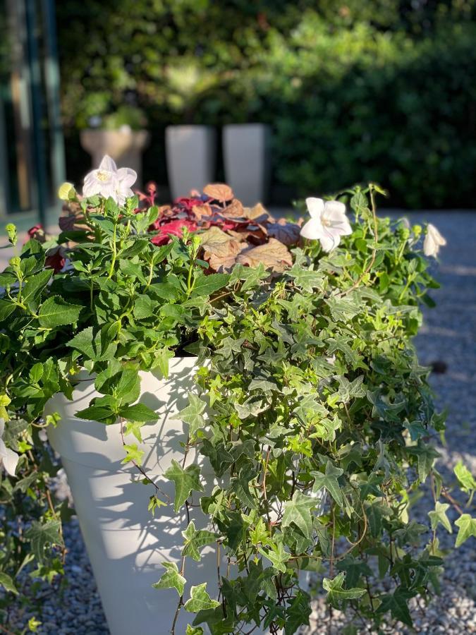 Hotel B&B Des Bains Milano Marittima Eksteriør bilde